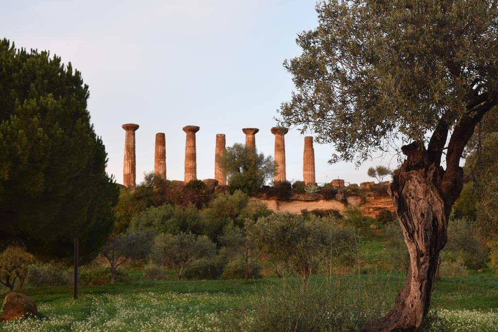 B&B Kolymbetra Αγκριτζέντο Εξωτερικό φωτογραφία