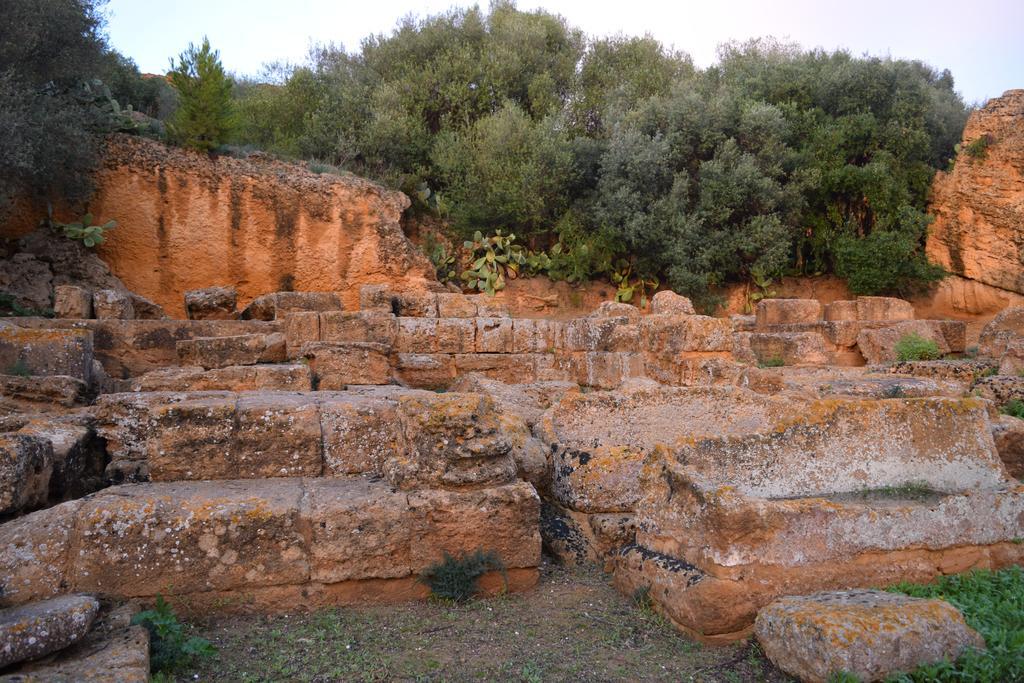 B&B Kolymbetra Αγκριτζέντο Εξωτερικό φωτογραφία